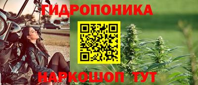 ECSTASY Ливны