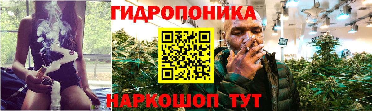 Якутск  Шишки марихуана план  Марихуана семена  Каннабис индика  Вход с VPN  Шишки марихуана Bruce Banner 
